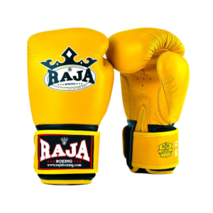 Luva de Boxe e MuayThai – RAJA – Standard